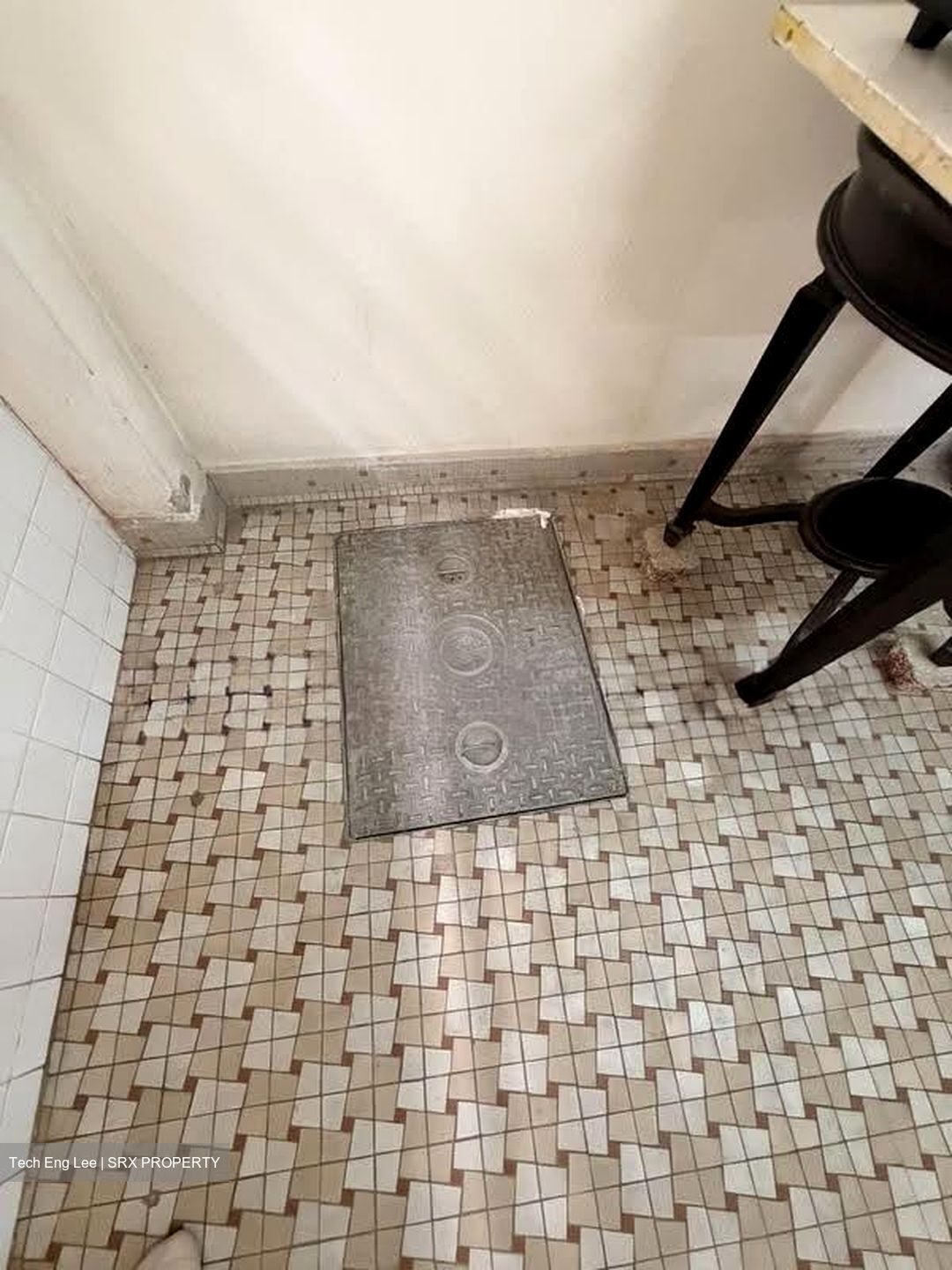 Serangoon Garden Estate (D19), Semi-Detached #613673091